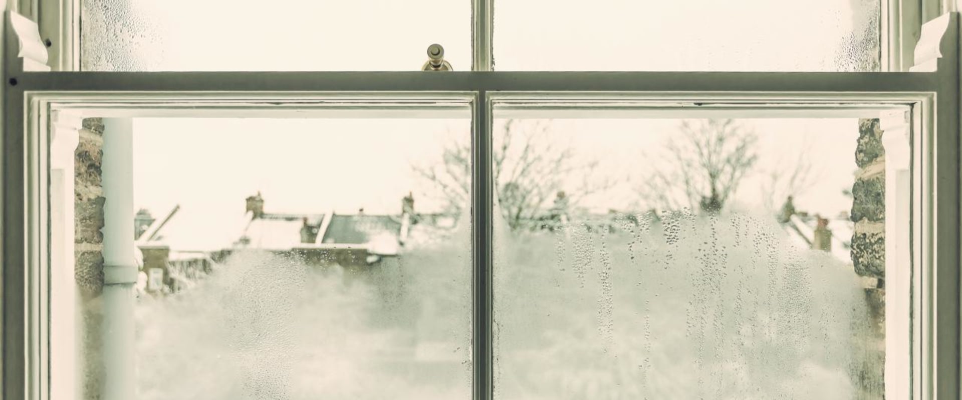 Can You Repair the Windows in Your Home?